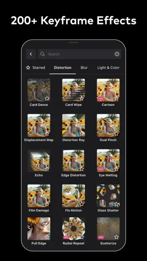 Ivy Professional Video Editor screenshot 2