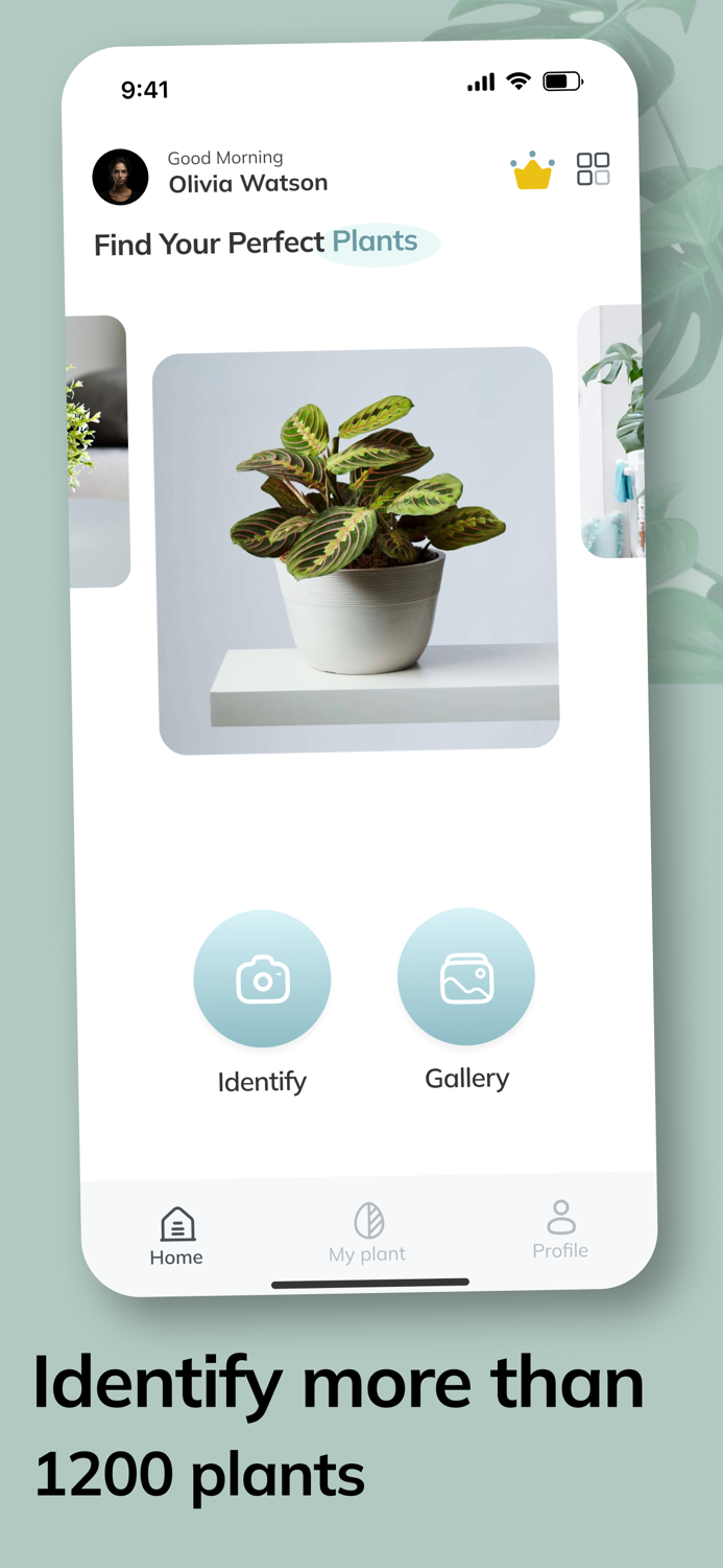 AI Plant Identification App