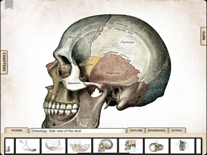Grays Anatomy Student for iPad screenshot #2 for iPad