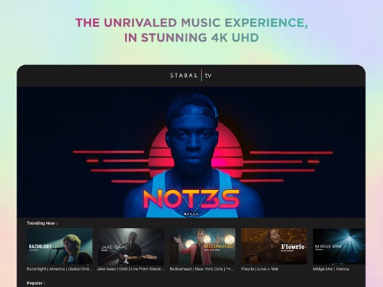 Screenshot #4 pour Stabal