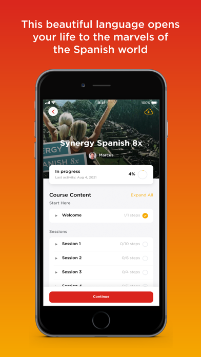 Synergy Spanish Systems Screenshot