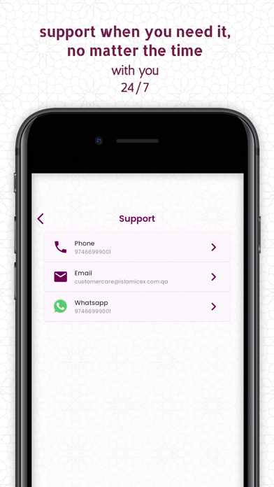 IEC Remit Screenshot