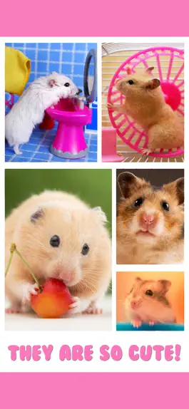 Game screenshot Hamster Jigsaw Puzzle Games apk