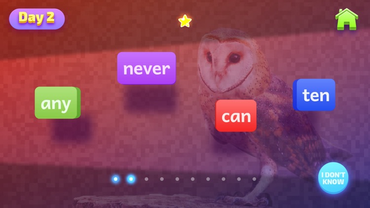 Sight Words of Animals