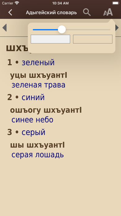 Adyghe Dictionary Screenshot
