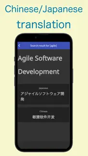 it translation dictionary iphone screenshot 3