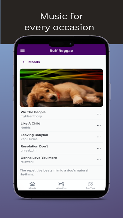 PawZen Screenshot