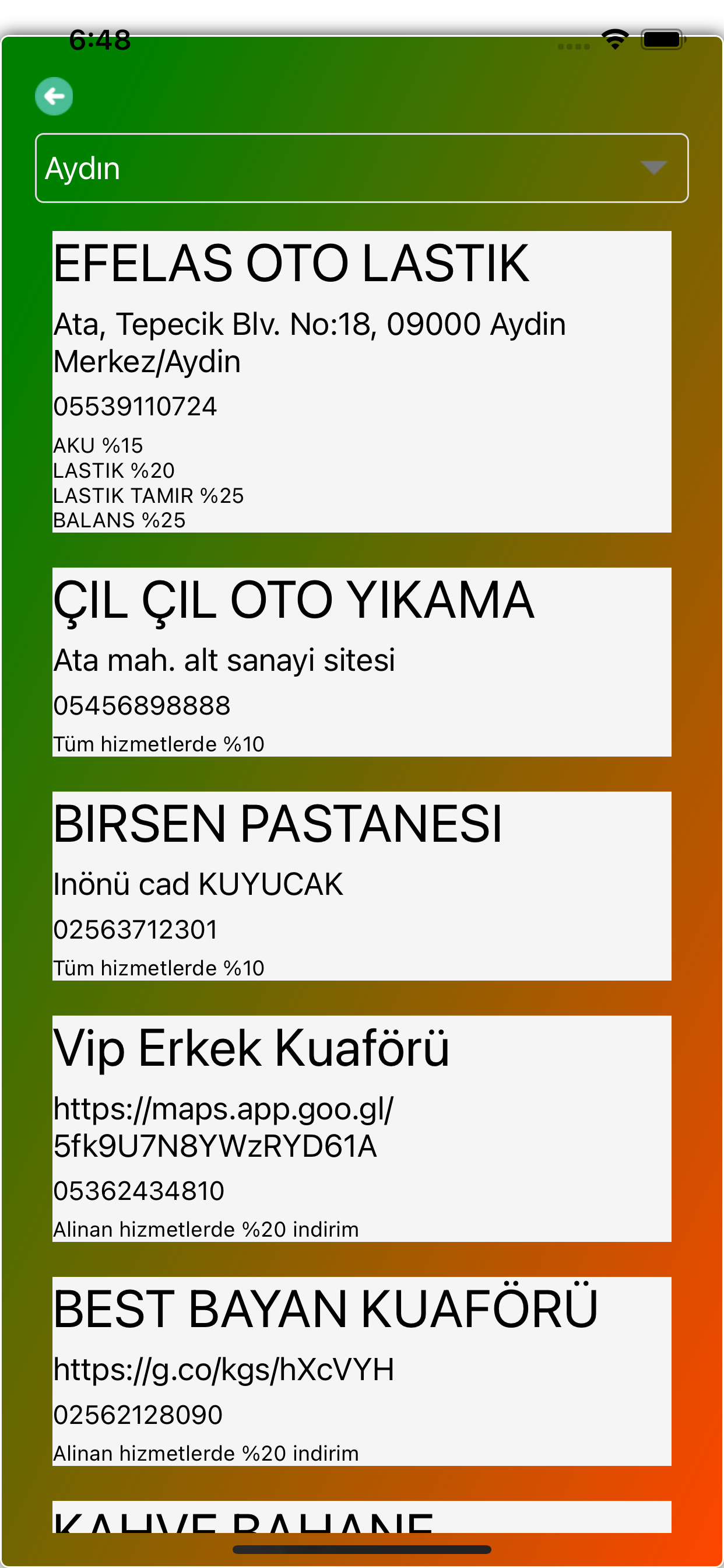 Aydın Tes İş