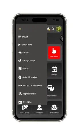 Game screenshot GidonBir hack