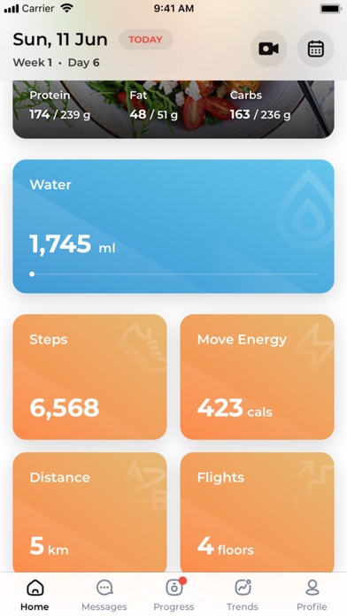 American Fit Fam Screenshot