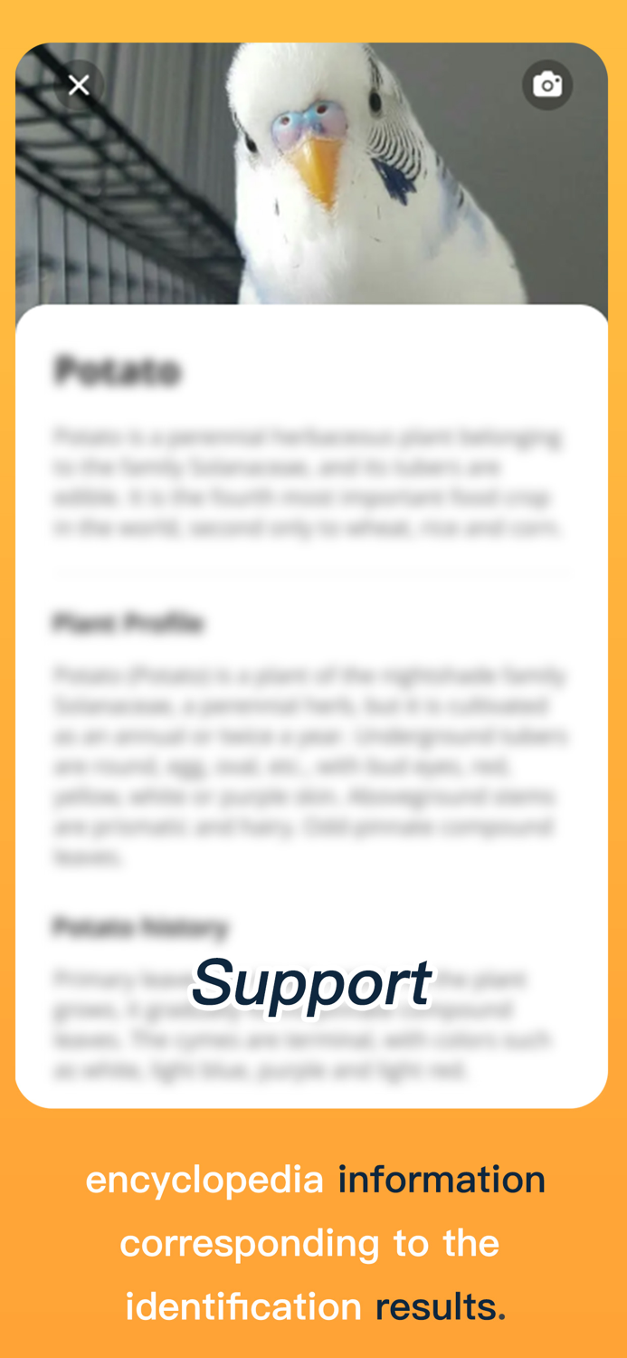 AnimalsSnap-Animal Identifier