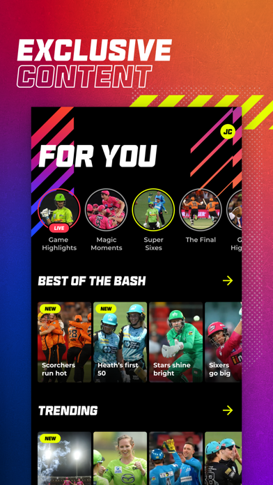 Big Bash Screenshot