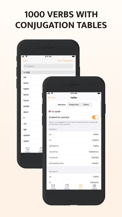 ConjuGato: Learn Spanish Verbs