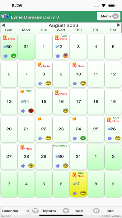 Lyme Disease Diary 3 Screenshot