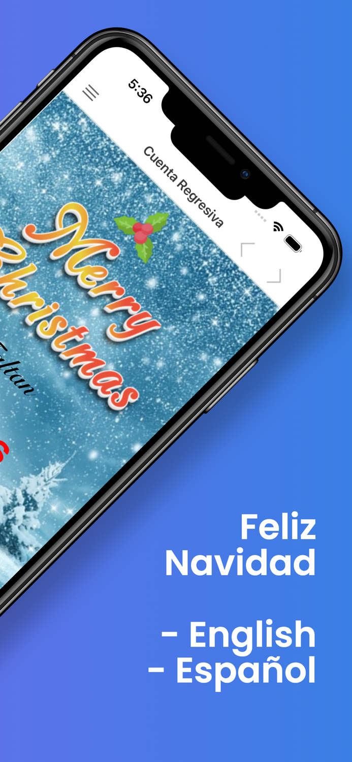 Merry Christmas and New Year