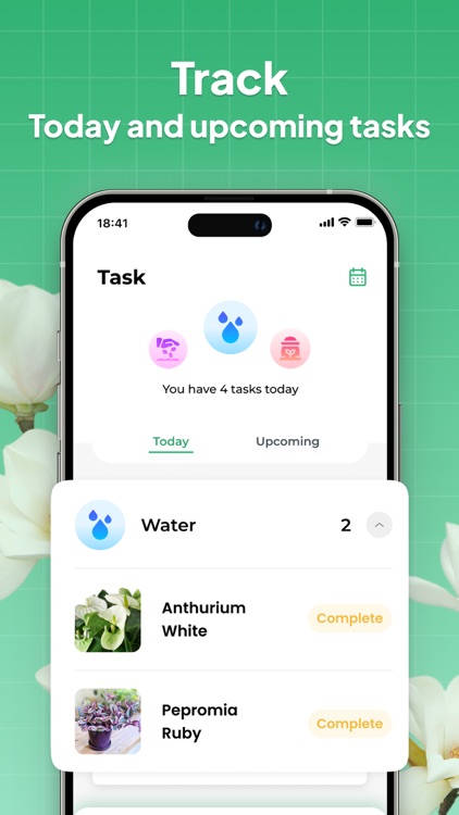 LeafSnap-Plant Identification screenshot-4