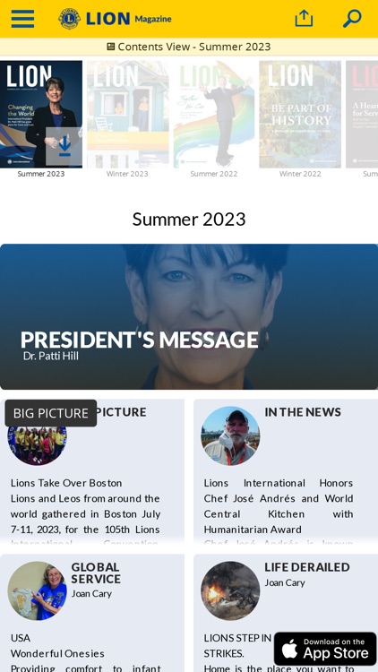 LION Magazine Global screenshot-4