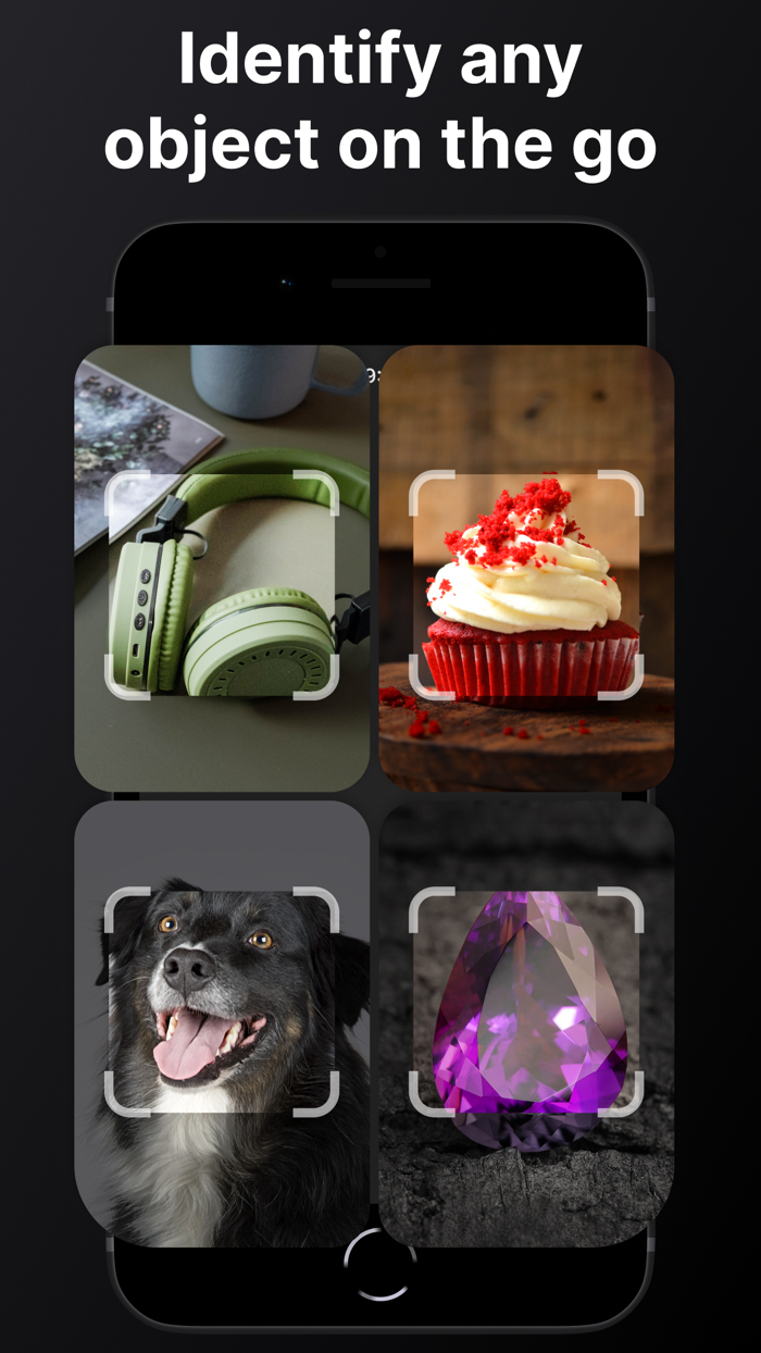 All Identifier - AI Picture ID