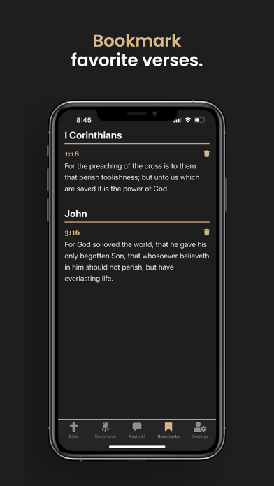 Insight Bible Screenshot