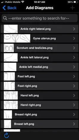 Game screenshot Katiba® Medical Imaging Studio hack