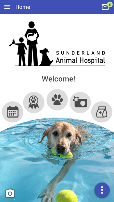 Sunderland Animal Hospital Screenshot