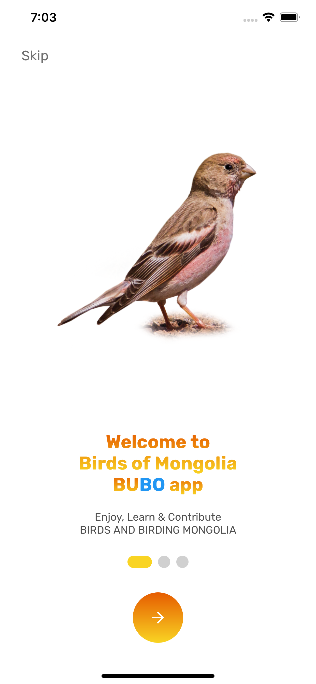 Birds of Mongolia