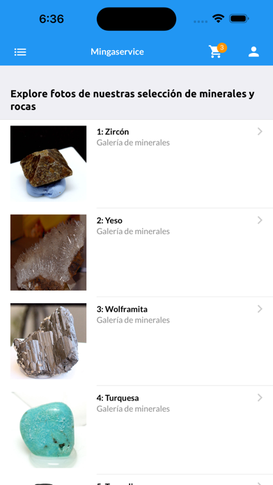 Mingaservice Screenshot