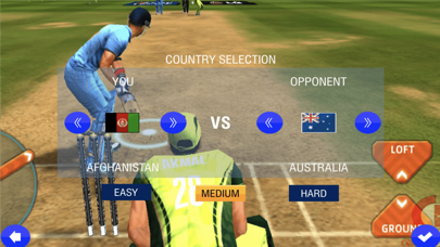 Screenshot #2 pour Cricket Revolution