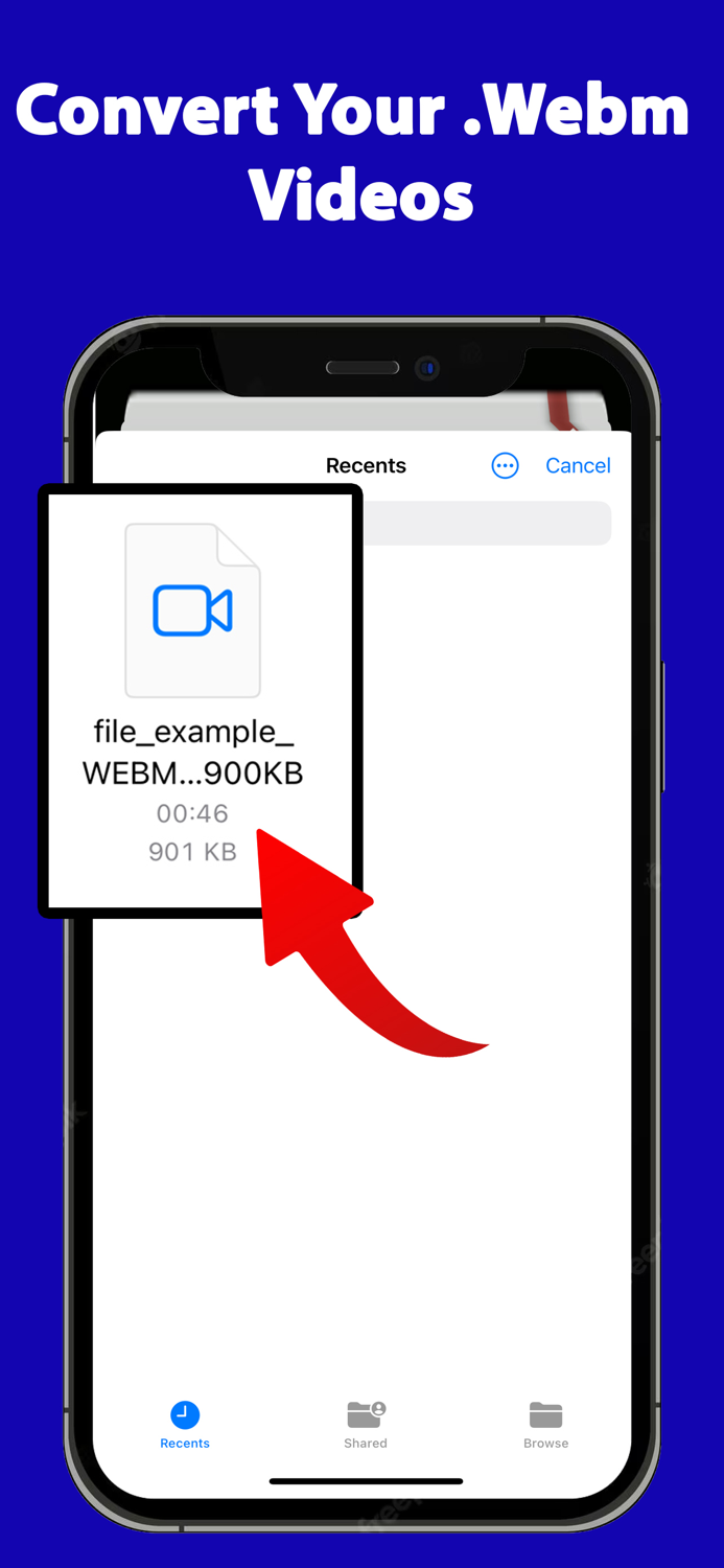 Webm Video Reader MP4 Convert