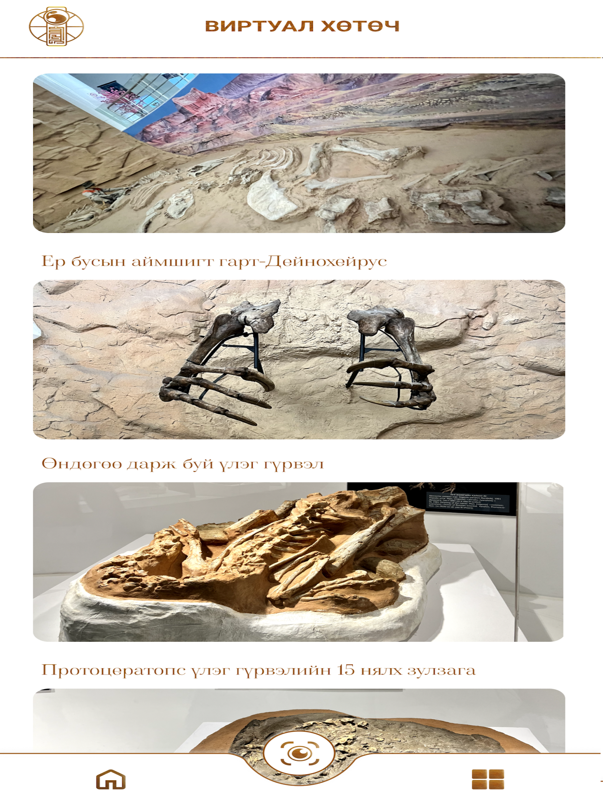 Gobi museum screenshot 8