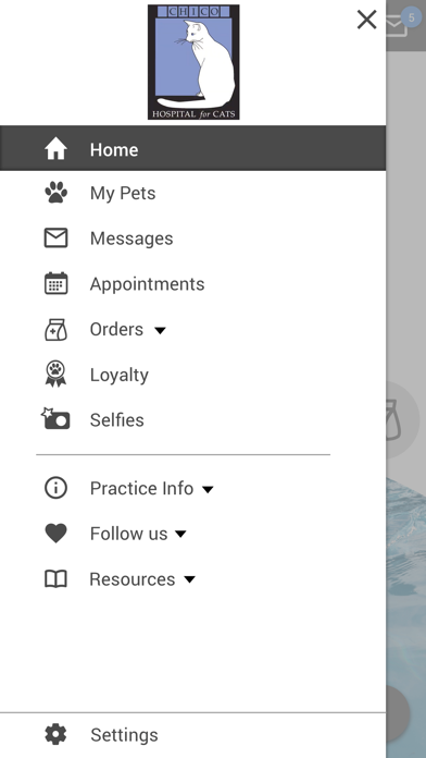 Chico Hospital for Cats Screenshot