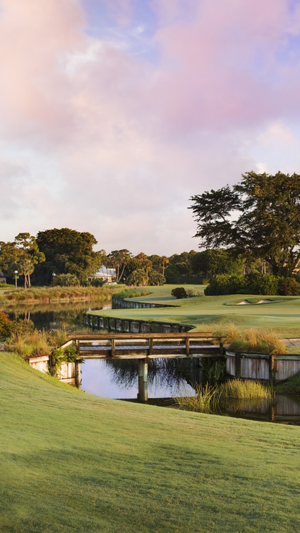 The Country Club Of Florida