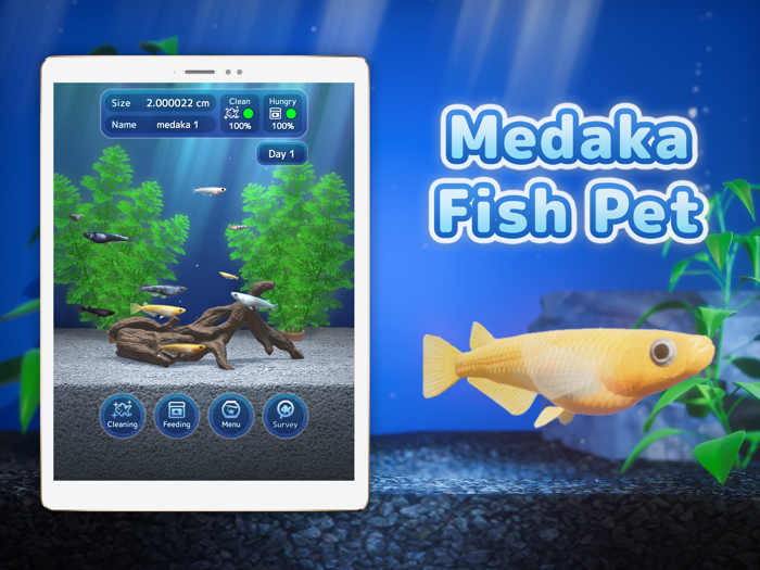 Medaka Pet