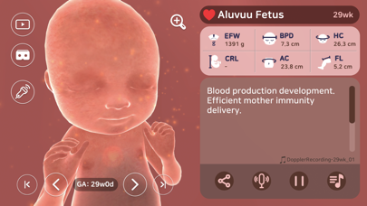 Screenshot #2 pour Aluvuu Fetus