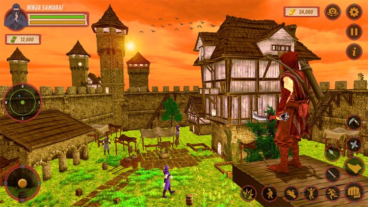 Ninja Assassin Stealth Master