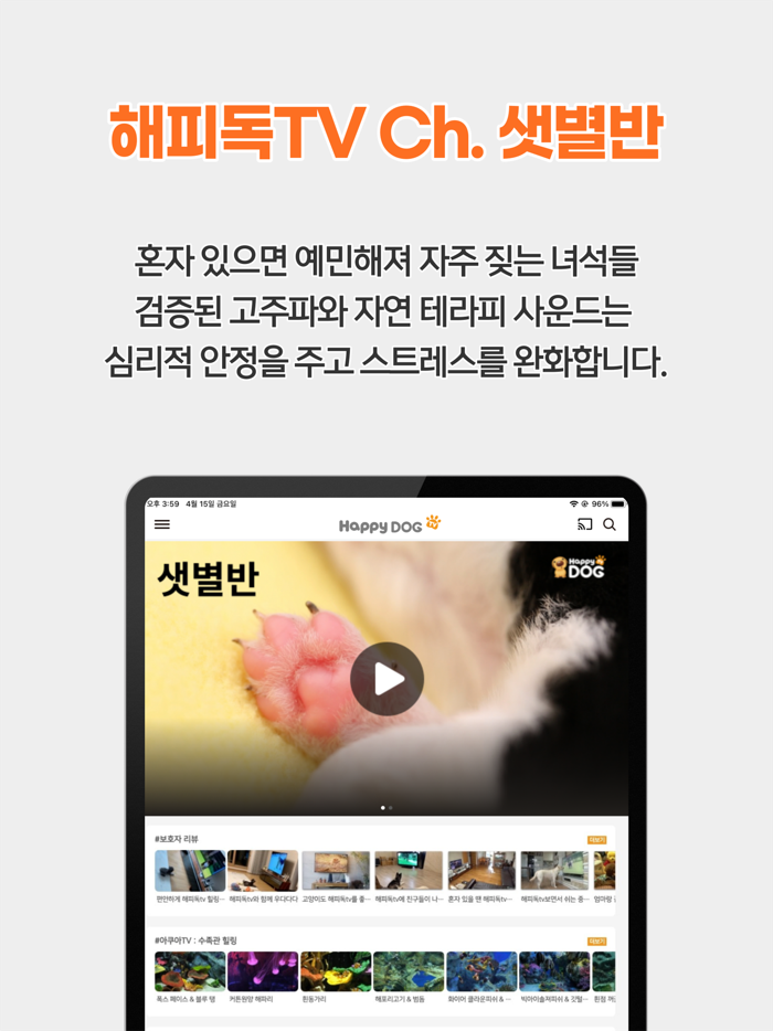 해피독Happy Dog - 우리아이 돌봄 서비스