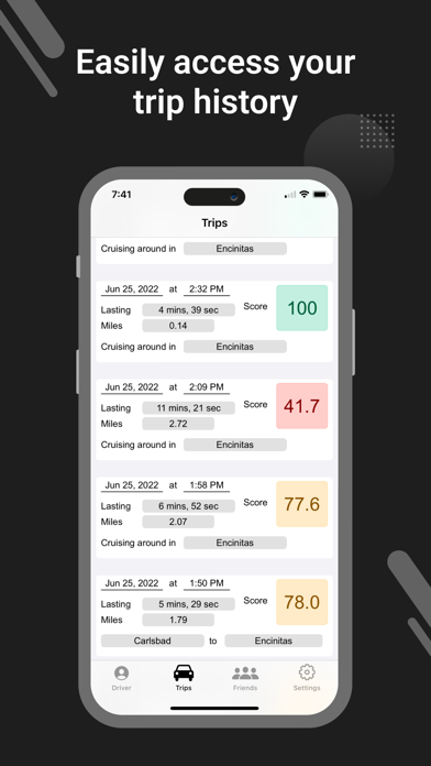 DriveSafe Pro Screenshot