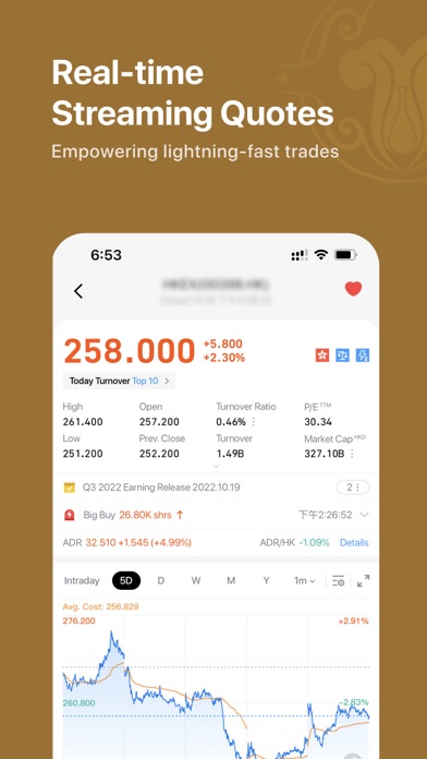 VHIF Trading Platform Screenshot