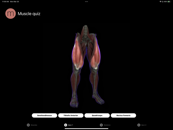 Human Anatomy Study Guide