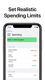 openbudget - budget and save iphone screenshot 4