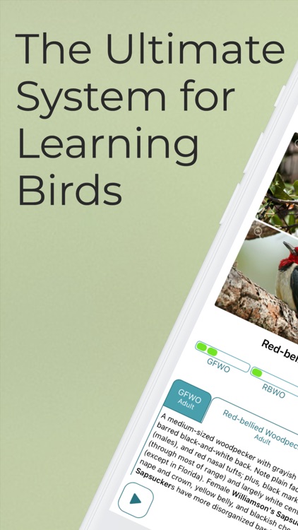 Learn Bird Watching—Larkwire