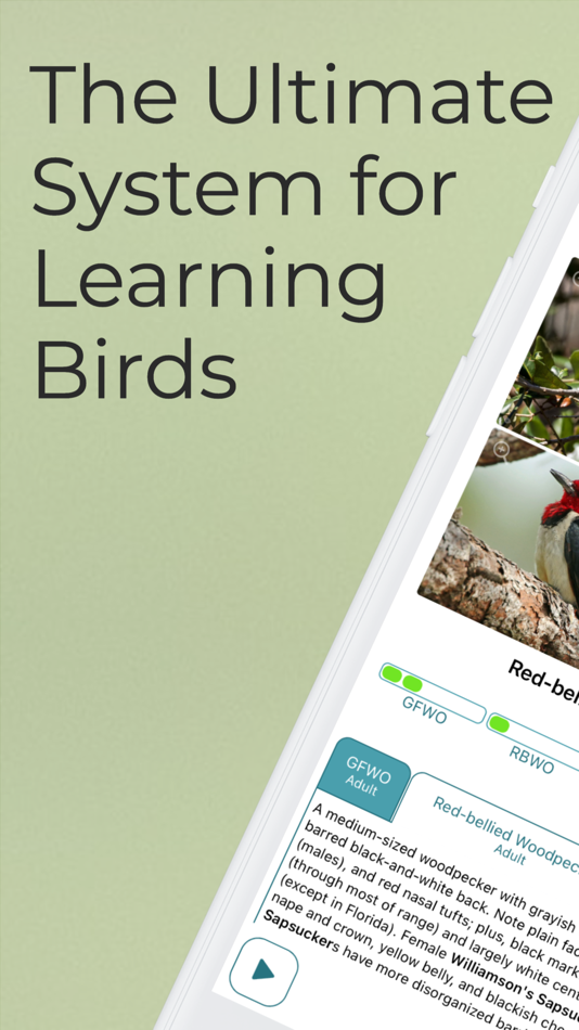#1. Learn Bird Watching—Larkwire (iOS) 由: Larkwire
