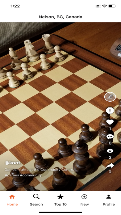 Town Council Screenshot