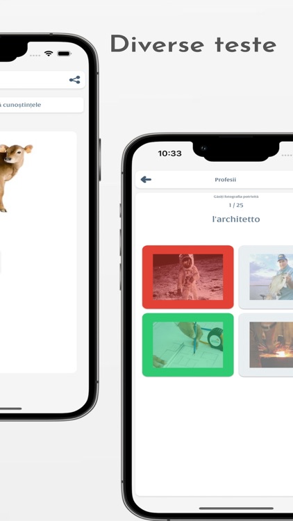 Invata Italiana screenshot-5