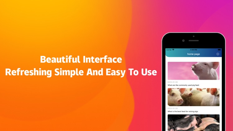 Runny Heart Pro-Pig raise