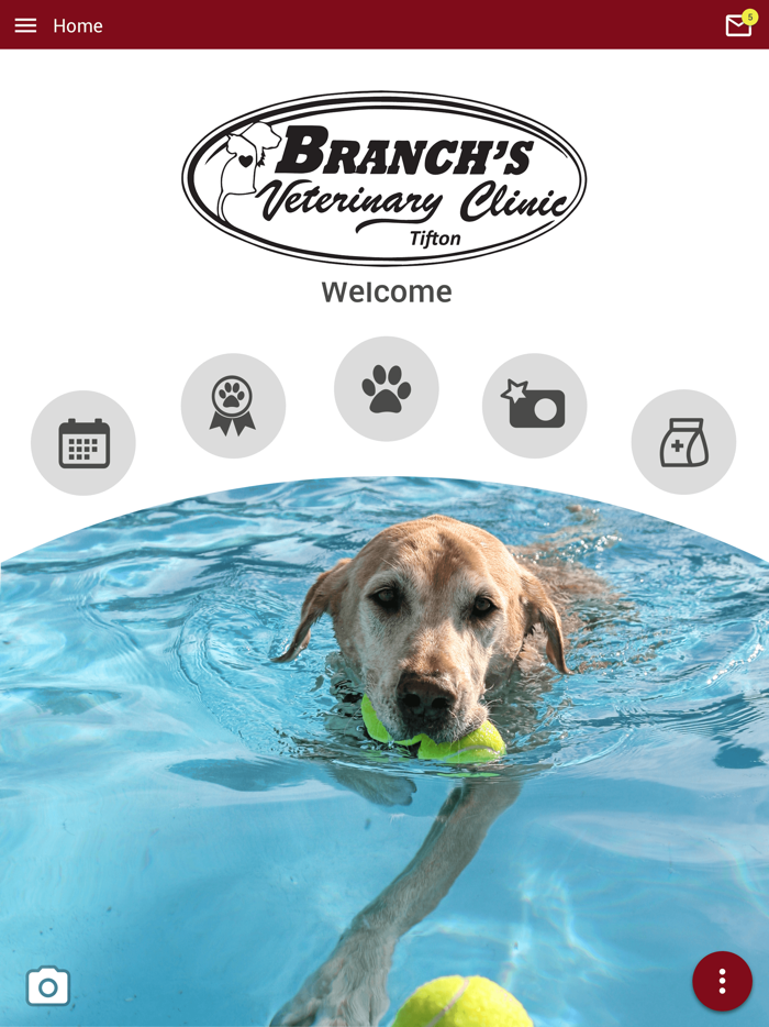 Branchs Vet Clinic Tifton
