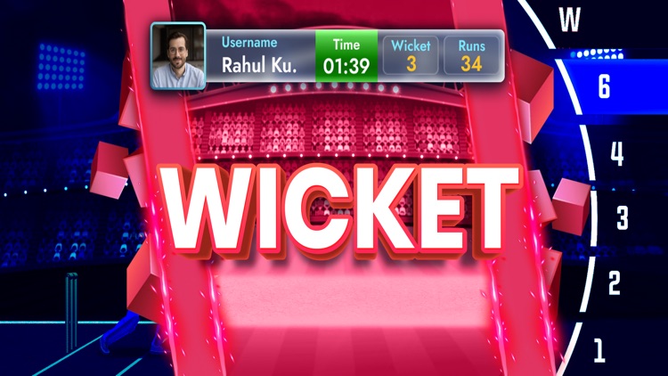Cricket Game App Online screenshot-3