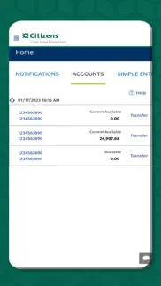 citizens cash flow essentials™ iphone screenshot 3