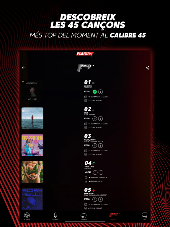 Screenshot #6 pour FlaixFM