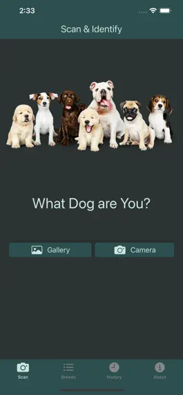 Game screenshot What Dog: Breed Recognition mod apk